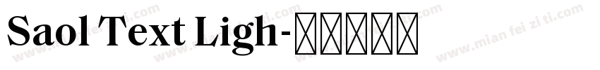 Saol Text Ligh字体转换